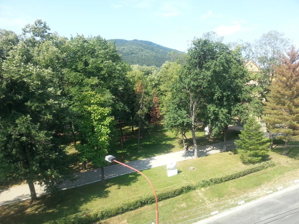Park Srce Apartments Аранджеловац Стая снимка